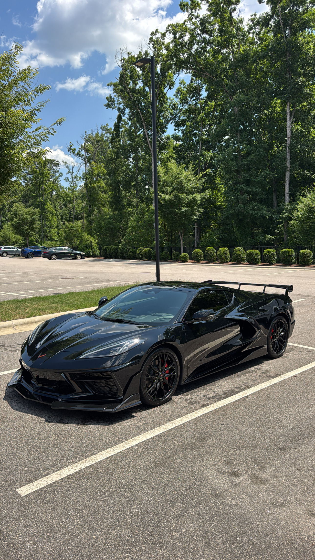 Buffing in Cary — Divine Detailing